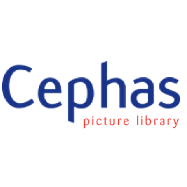 Cephas Picture Library