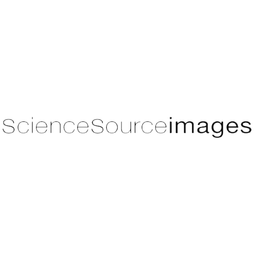Science Source Images